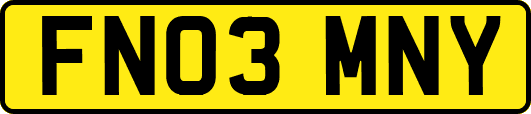 FN03MNY