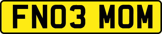 FN03MOM