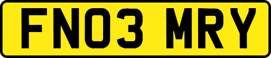 FN03MRY