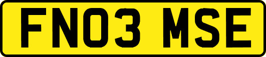 FN03MSE