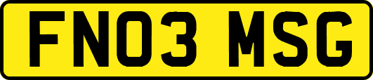 FN03MSG