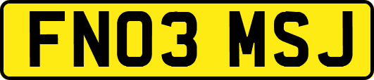 FN03MSJ