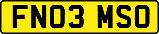 FN03MSO