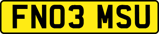 FN03MSU