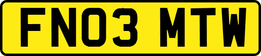 FN03MTW