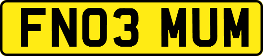 FN03MUM
