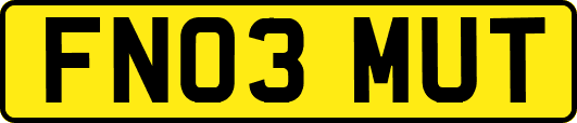 FN03MUT