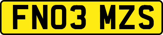 FN03MZS