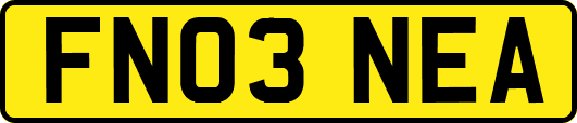 FN03NEA