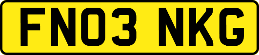 FN03NKG