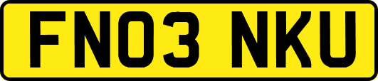 FN03NKU