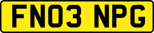 FN03NPG