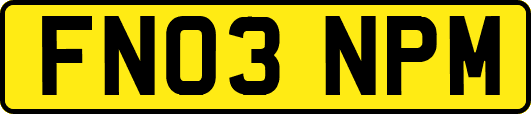 FN03NPM