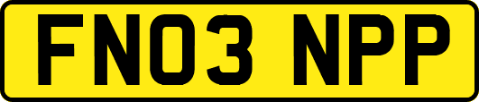 FN03NPP