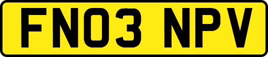 FN03NPV