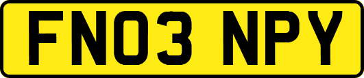 FN03NPY