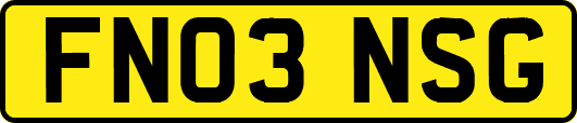 FN03NSG