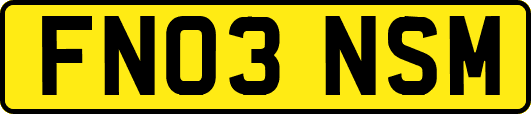 FN03NSM