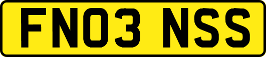 FN03NSS