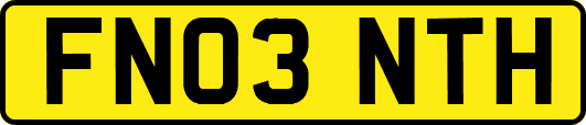 FN03NTH