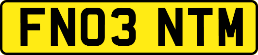 FN03NTM