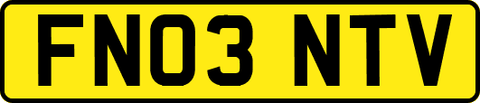 FN03NTV