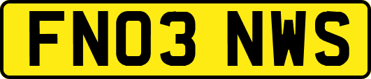 FN03NWS