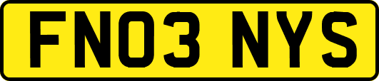 FN03NYS