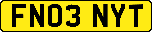 FN03NYT