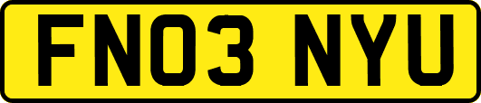 FN03NYU
