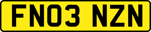 FN03NZN