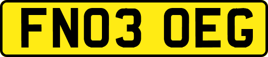 FN03OEG