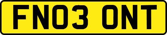 FN03ONT