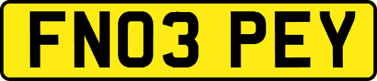 FN03PEY