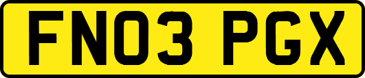 FN03PGX