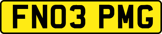 FN03PMG
