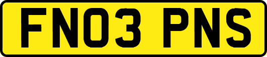 FN03PNS