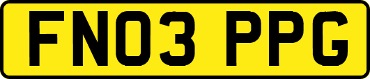 FN03PPG