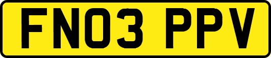 FN03PPV