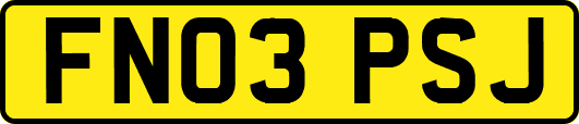 FN03PSJ