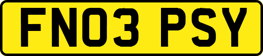 FN03PSY