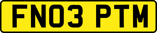 FN03PTM