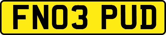 FN03PUD