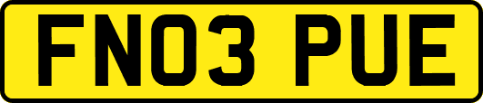 FN03PUE