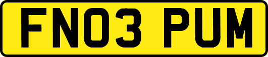 FN03PUM
