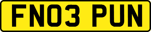 FN03PUN