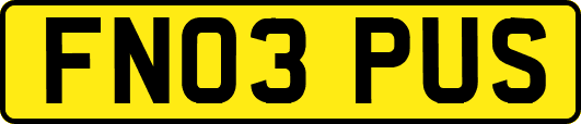 FN03PUS