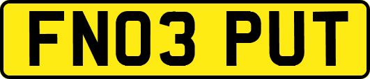 FN03PUT