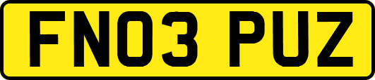 FN03PUZ