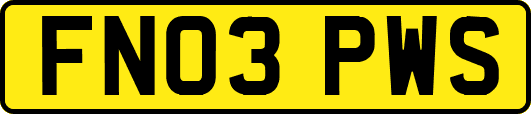 FN03PWS